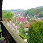 IMG_5331.jpg